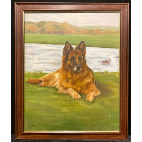 223 - CRE  
German Shepherd Dog
monogrammed, oil on canvas, 74.5cm x 59.5cm