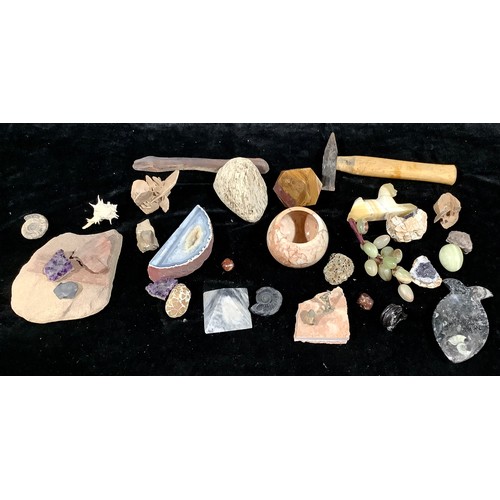 459 - Geology - a collection of rocks, minerals and fossils, including ammonites, geode, polished stones, ... 