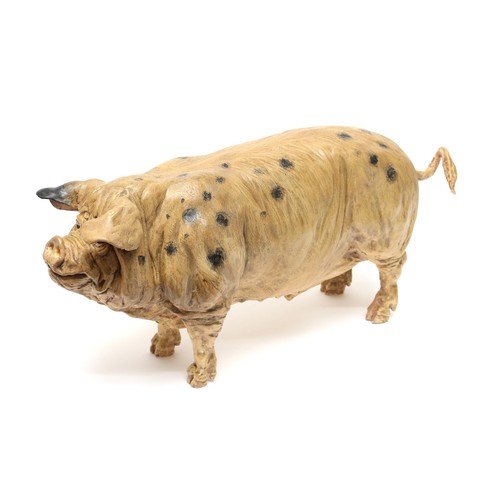 438 - Advertising - a painted composite model of a Pig, probably a butchers shop display model, 50cm long