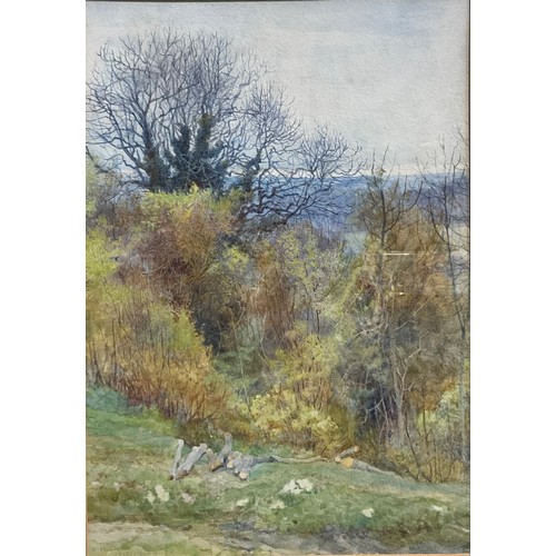 53 - Elizabeth M Chettle
A Spring Morning
signed, dated 1928, watercolour, 30cm x 21cm