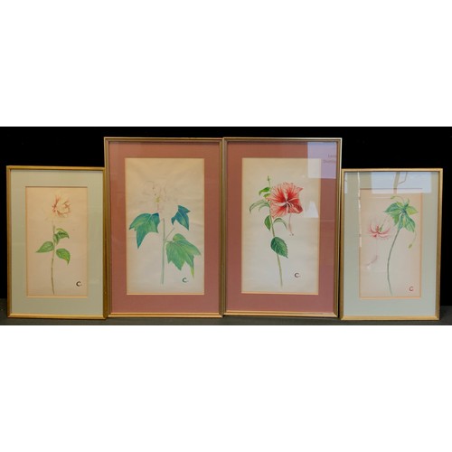 486 - Pictures and prints - English school, watercolour and pencil, floral studies, 24cm x 43cm, two small... 