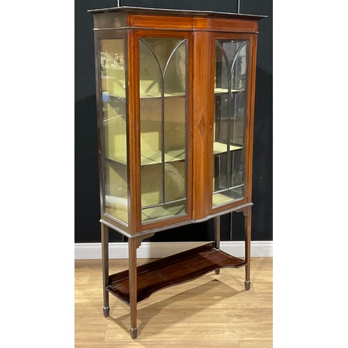 215 - An Edwardian mahogany display cabinet, 172.5cm high, 99cm wide, 39cm deep