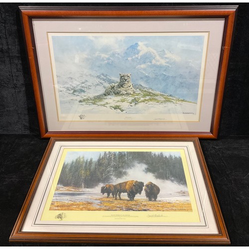 958 - David Shepherd OBE FRSA (1931 - 2017), Snow Leopard, signed limited edition print, 221/950, Soloman ... 