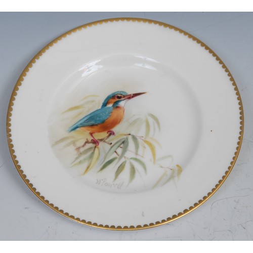 94 - A Royal Worcester plate, painted by W. Powell, signed, with a kingfisher perched on a leafy branch, ... 