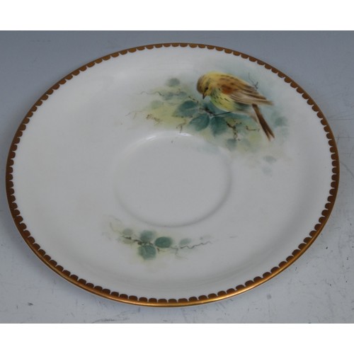 99 - A Royal Worcester teacup and saucer, painted by D. Jones, signed, with a chaffinch and a yellow hamm... 