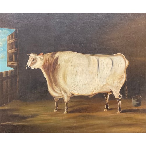 334 - English Journeyman School (19th century)
Naive Cattle Portrait,
oil on canvas, 75cm x 90cm