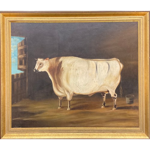 334 - English Journeyman School (19th century)
Naive Cattle Portrait,
oil on canvas, 75cm x 90cm