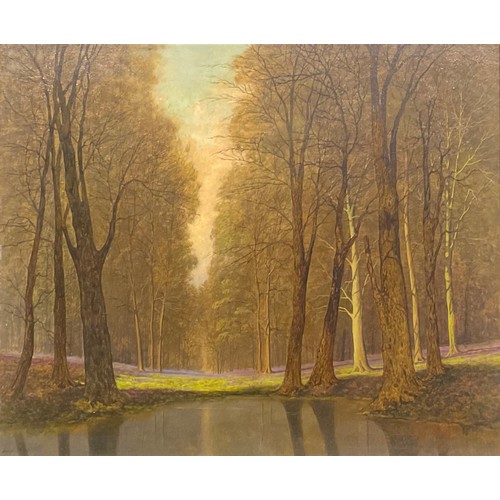 385 - David Mead (1906-1986)
Canterbury Woods,
signed, oil on board, 48.5cm x 59cm