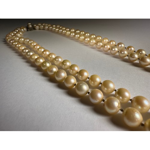 988 - A two string pearl necklace, the silver clasp set with two pearls, approximately 80cm total length