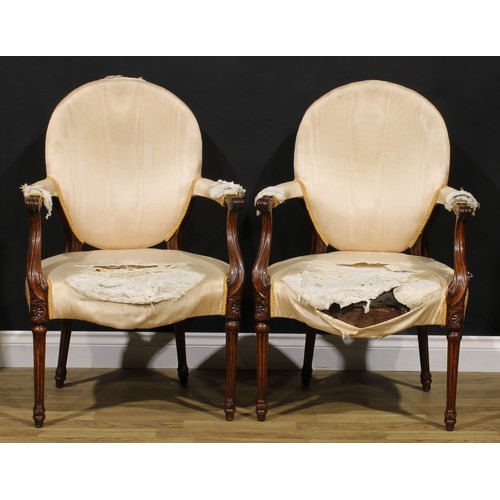 1594 - A pair of 19th century French Hepplewhite mahogany elbow chairs, each with scroll hand rests, fluted... 