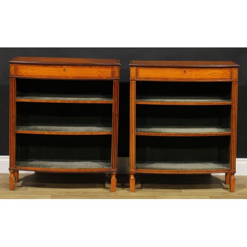 1604 - A pair of Sheraton Revival tulipwood banded satinwood library pier bookcases, each with a slightly o... 