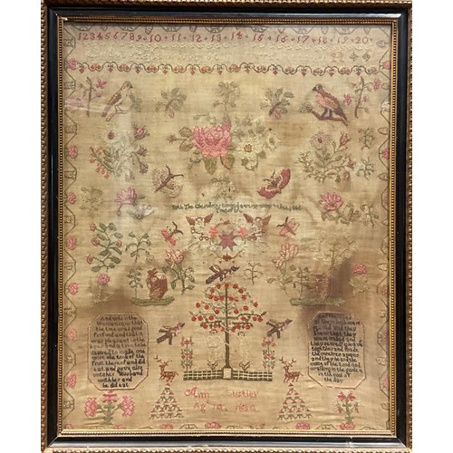 2168 - A William IV needlework sampler, by Ann *ustler, Agd (sic) 14, 1834, worked in coloured threads with... 