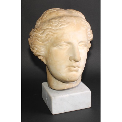 2143 - A museum type composition model, the head of Venus, after the Antique, 38cm high