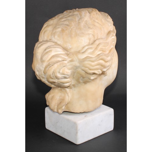 2143 - A museum type composition model, the head of Venus, after the Antique, 38cm high