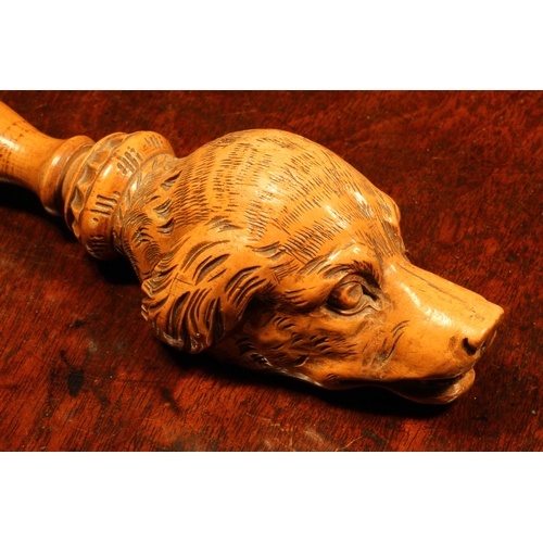 1104 - Nutcrackers - a Black Forest novelty screw-action nut cracker, carved as the head of a dog, lotus gr... 