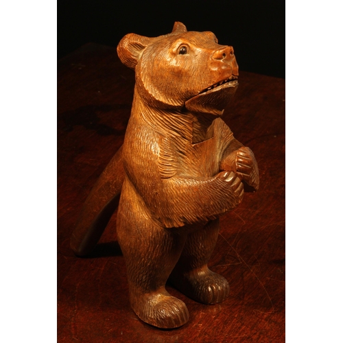 1090 - Nutcrackers - a Black Forest novelty lever-action nut cracker, carved as a bear, standing, hungry fo... 