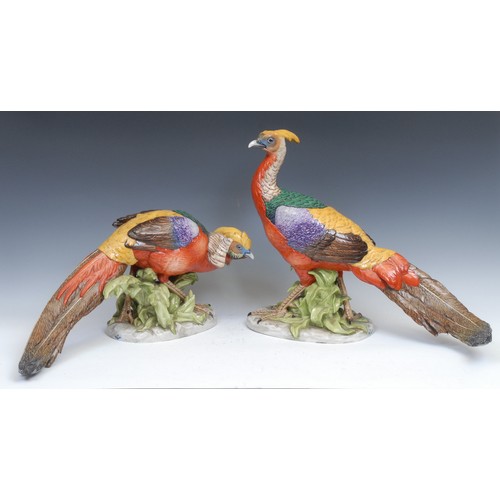 A Pair Of German Pottschappel Dresden Large Model Pheasants Decorated In Bright Enamels The Talles 5639