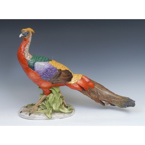 168 - A pair of German Pottschappel Dresden large model pheasants, decorated in bright enamels, the talles... 