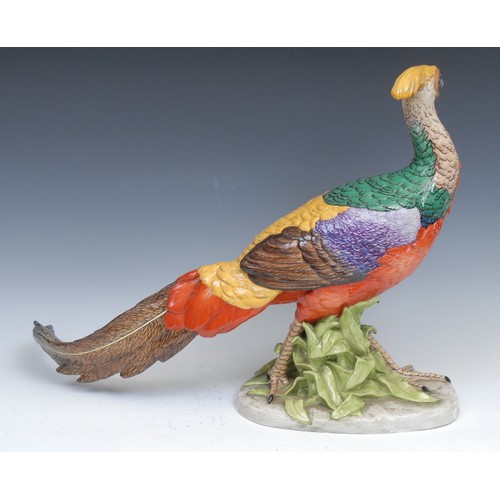168 - A pair of German Pottschappel Dresden large model pheasants, decorated in bright enamels, the talles... 