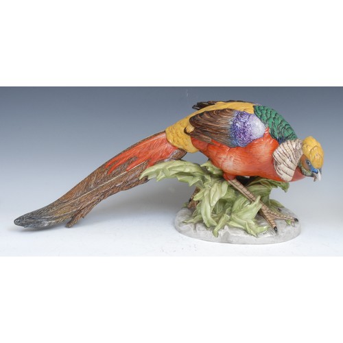 168 - A pair of German Pottschappel Dresden large model pheasants, decorated in bright enamels, the talles... 