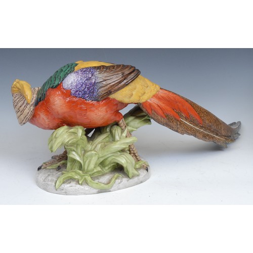 168 - A pair of German Pottschappel Dresden large model pheasants, decorated in bright enamels, the talles... 