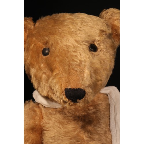 81 - A large early 20th century jointed golden mohair teddy bear, attributed to Steiff (Germany) and affe... 