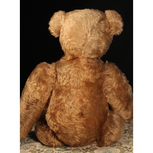 81 - A large early 20th century jointed golden mohair teddy bear, attributed to Steiff (Germany) and affe... 