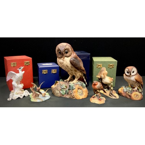 9 - A Royal Crown Derby tawny owl, painted by A.S, another smaller brown owl, others include; 'Bird of P... 
