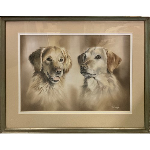 107 - Peter Holloway, 20th century, Golden Retriever and Labrador, Portia and Tara, signed, pastel, 45.5cm... 