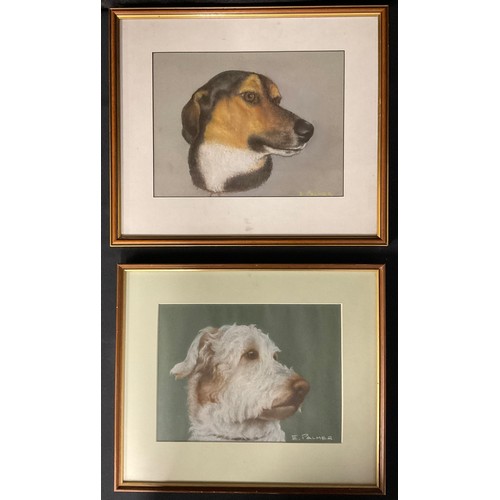 37 - E Palmer  
A pair, Portraits of Dogs  
signed, pastels (2)