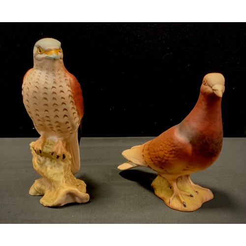 15 - Beswick - Pigeon, 14cm high, Kestrel, 17cm high, stamp to base