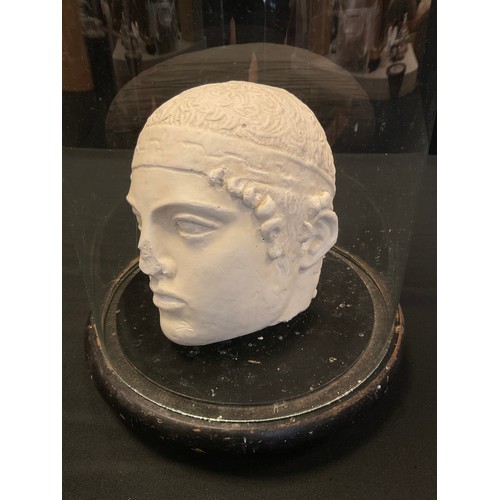 327 - A classical style cast plaster head of a Spartan, displayed in a glass dome on ebonised base, 36cm h... 