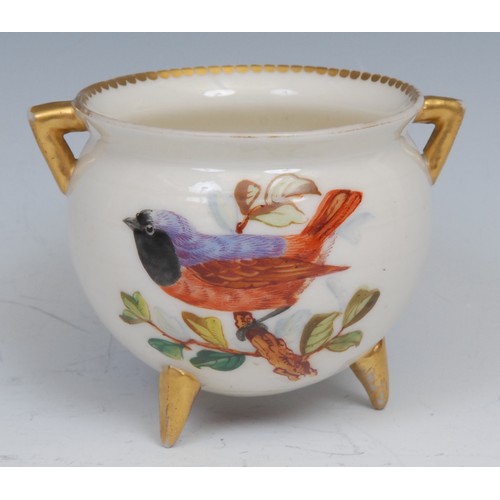 36 - A Royal Worcester tripod cauldron, painted by John Hopewell with colourful finches, gilt dentil rim,... 