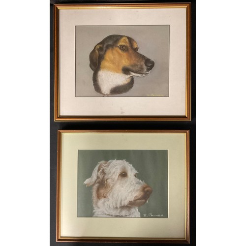 121 - E Palmer  
a near pair, Dog Portraits
signed, pastels, 23cm x 30cm/21cm x 29cm (2)