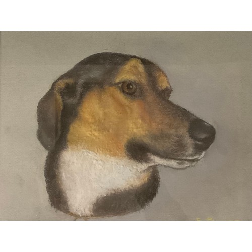 121 - E Palmer  
a near pair, Dog Portraits
signed, pastels, 23cm x 30cm/21cm x 29cm (2)