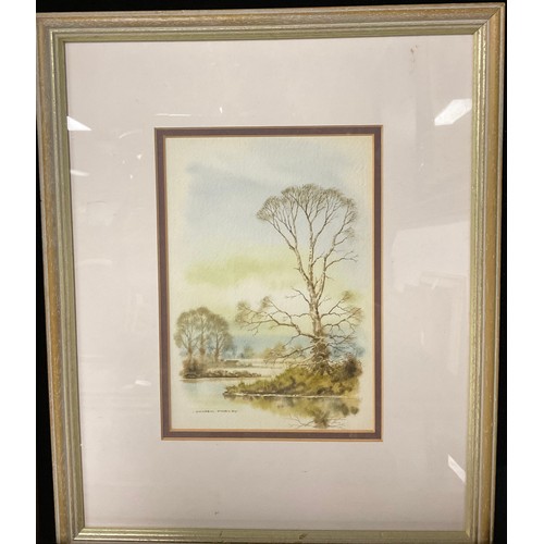 734 - Pictures and Prints - Andrew Findlay, Wooded River Scene, signed, watercolour; Alcuda Marsh signed m... 