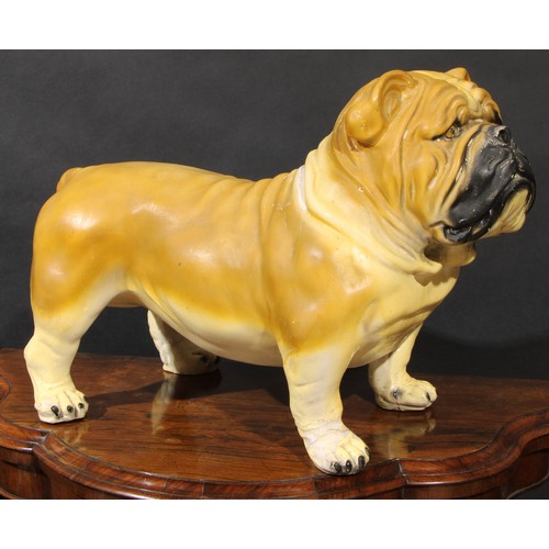 122A - A large early to mid-20th century plaster model of a bull dog, probably a shop window promotional ad... 