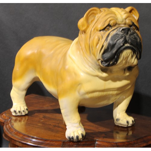 122A - A large early to mid-20th century plaster model of a bull dog, probably a shop window promotional ad... 