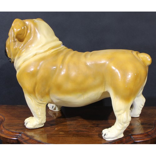 122A - A large early to mid-20th century plaster model of a bull dog, probably a shop window promotional ad... 