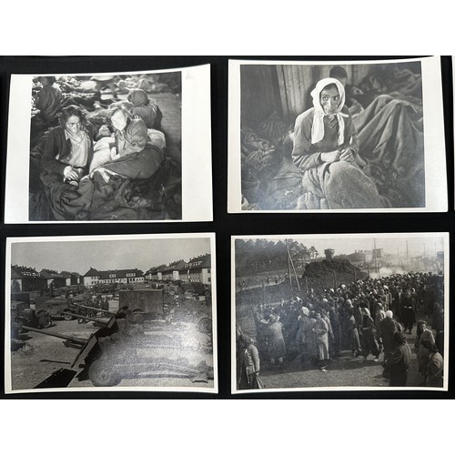 2206 - WW2 British Photographs of Bergen - Belsen Concentration Camp taken in 1945 upon liberation by the B... 