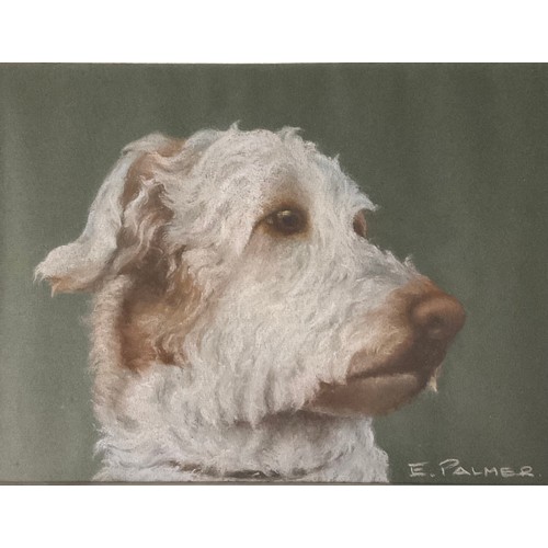 330 - E Palmer  
a near pair, Dog Portraits
signed, pastels, 23cm x 30cm/21cm x 29cm (2)