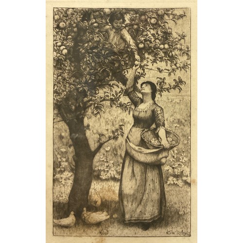 61 - Thomas Riley (1856-1892), by and after, The Apple Gatherers, engraving, 28cm x 18cm.