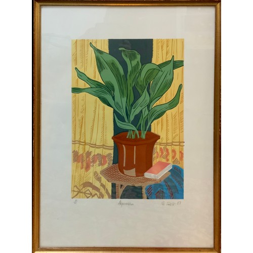 145 - Rosalind Forster, by and after, Aspidistra, signed, dated ‘87, and titled in pencil to margin, limit... 