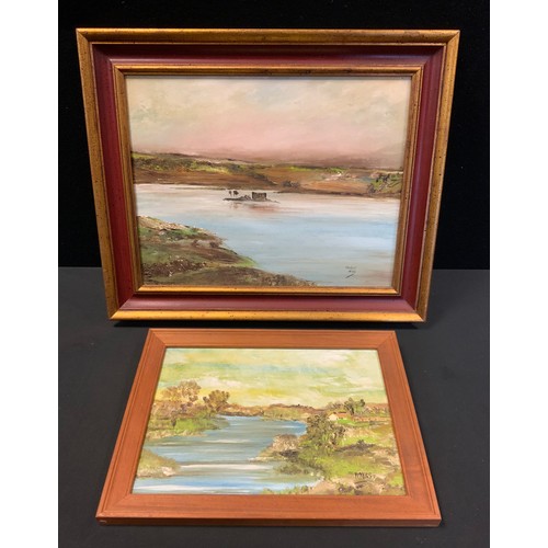 150 - Brendan Hayes (Irish, 20th century), wetland landscape, signed oil on canvas, 35.5cm x 45.5cm, anoth... 