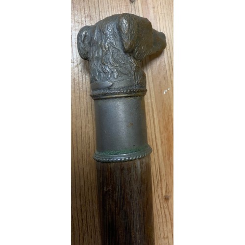 35 - A 20th century dogs head walking stick, cast metal handle as a Terrier, tapering shaft, 89.5cm long