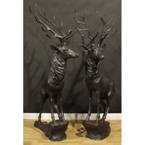 1519 - A pair of substantial contemporary dark patinated bronzed metal garden models, of stags, each 199cm ... 