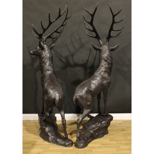 1519 - A pair of substantial contemporary dark patinated bronzed metal garden models, of stags, each 199cm ... 