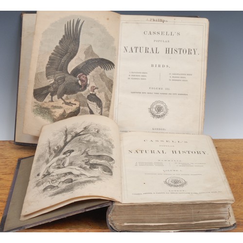 2850 - Natural History – Cassell’s Popular Natural History, Vols. 1-4, London, Cassell & Co. n.d., large 8v... 