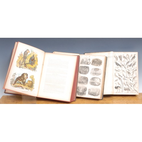 2855 - Natural History – Goldsmith (Oliver, 1728-1774) A History of the Earth and Animated Nature, one of m... 