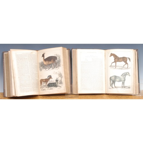 2853 - Natural History – Goldsmith (Oliver) A History of the Earth and Animated Nature, one of many later e... 